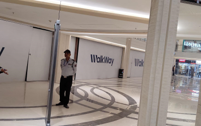 eSSL Six Zone Single Door Panel DFMD - D468-6 was completed at Walkway Mall.